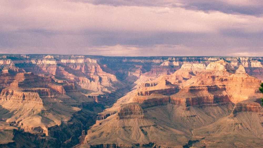 Exploring the Grand Canyon from Your Vacation Rental Home